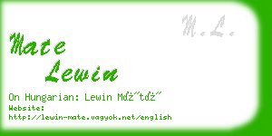 mate lewin business card
